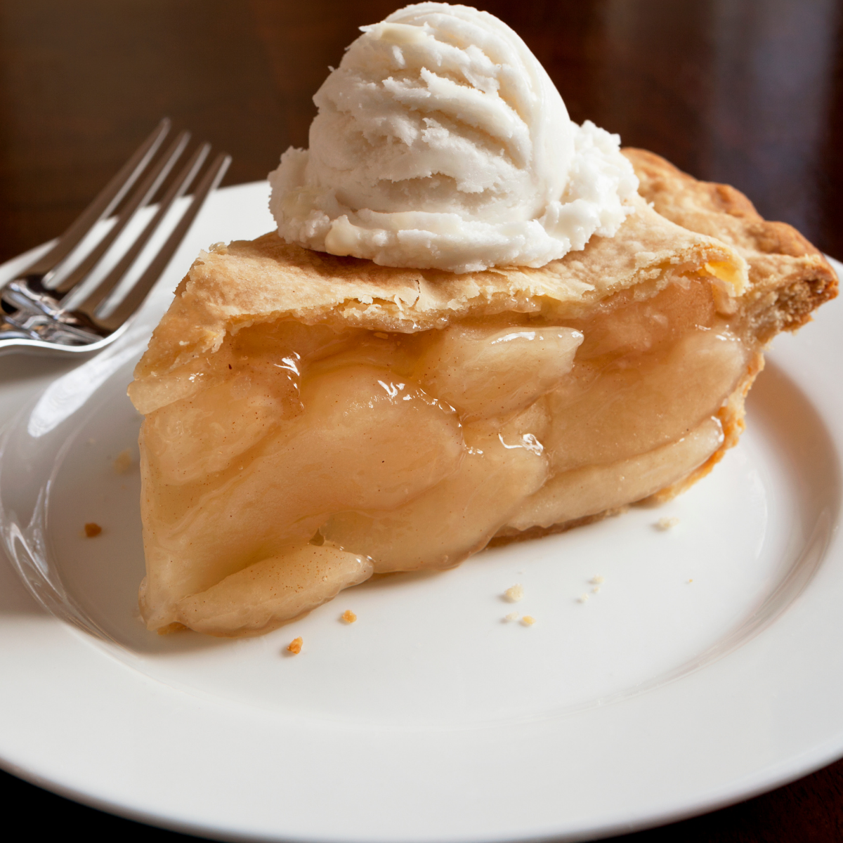 Freeze Dried Apple Slices