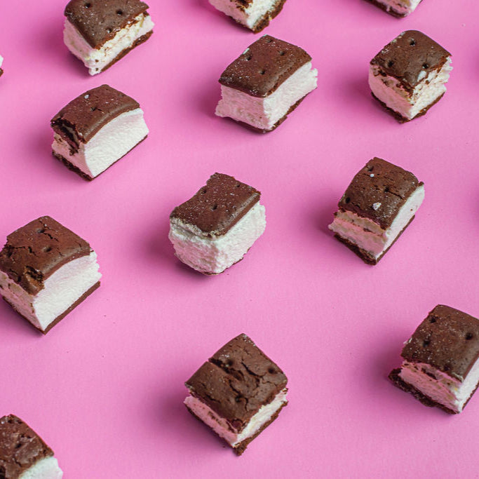 freeze dried ice cream sandwiches
